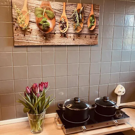 ホームステイ Hof Steinhuetten Tiny ヴェスターヘーヴァー