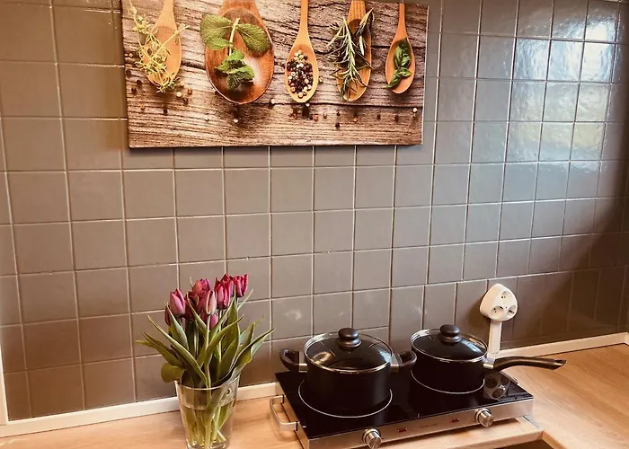 ホームステイ Hof Steinhuetten Tiny ヴェスターヘーヴァー